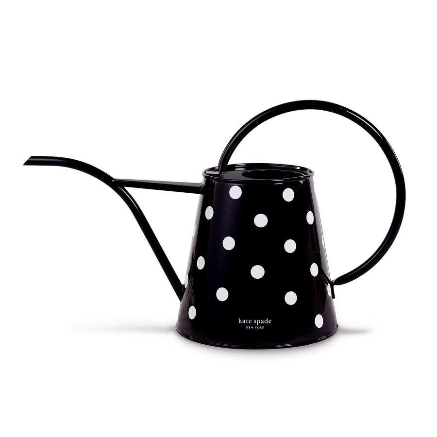 Gardening Tools Picture - 2.5 Liter Indoor Watering Can, Metal