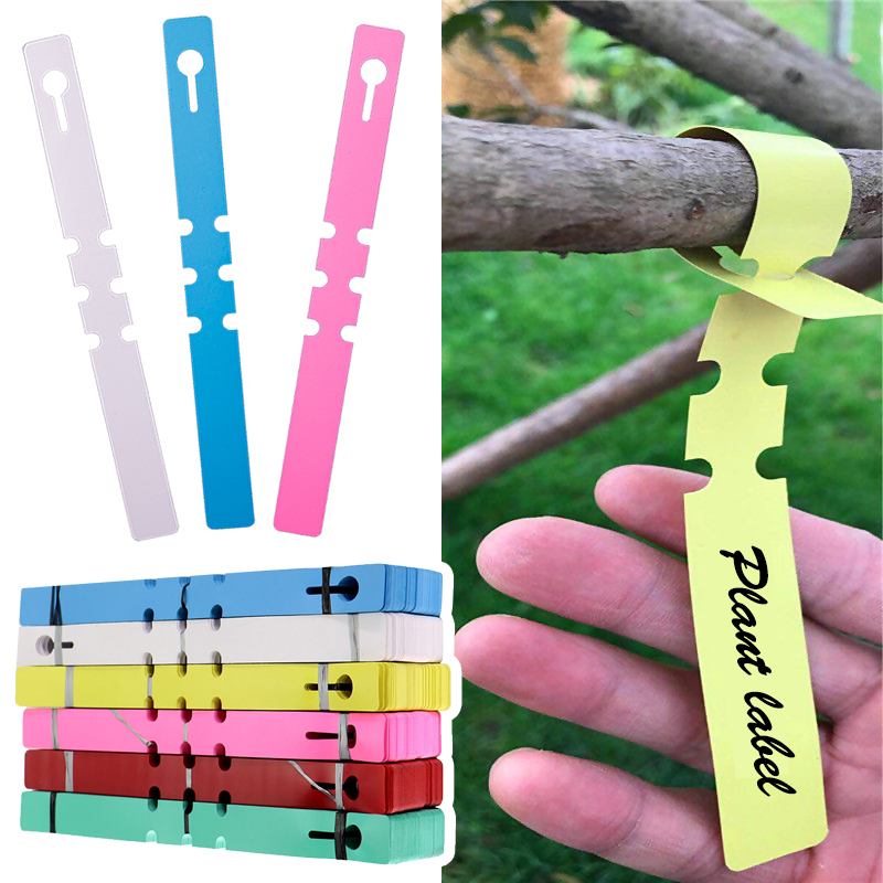 Gardening Tools Labeled - 50-100pcs Waterproof Plant Markers Plastic Plant