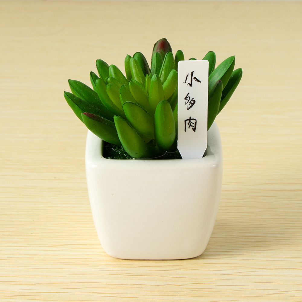100Pcs Mini Plastic Plant Seed - Gardening Tools Labeled recensie en prijs
