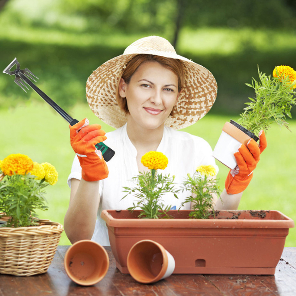 5/6/11 Tines Gardening Hand We - Gardening Tools To Remove Grass recensie en prijs