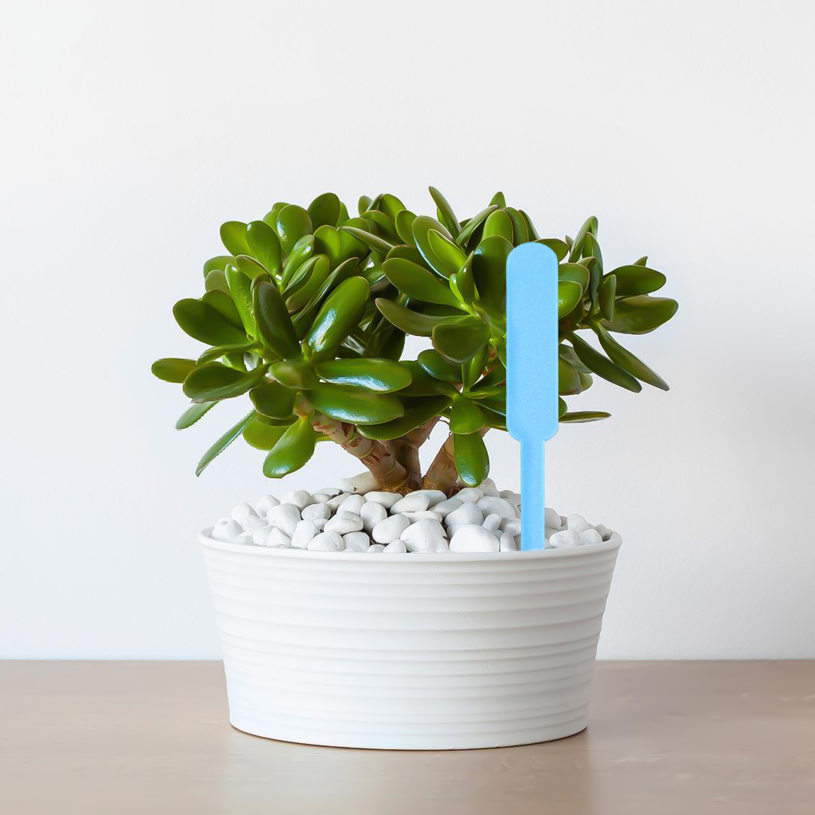 100pcs New Garden Plant Tags W - Gardening Tools Labeled recensie en prijs