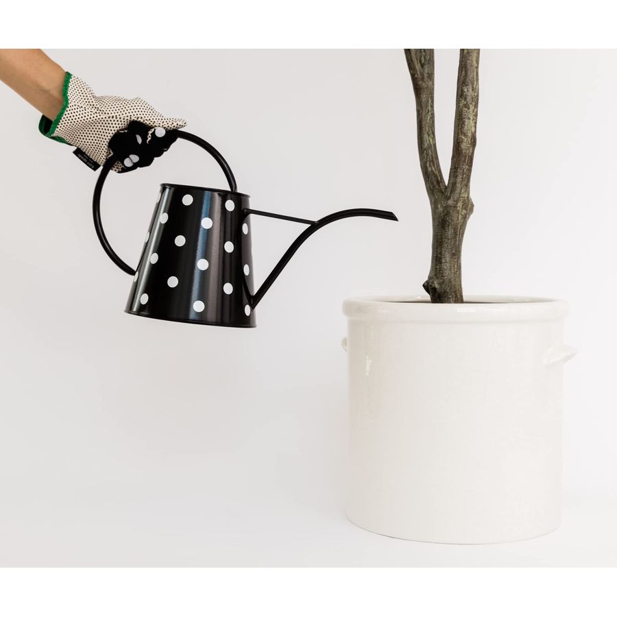 2.5 Liter Indoor Watering Can, - Gardening Tools Picture recensie en prijs