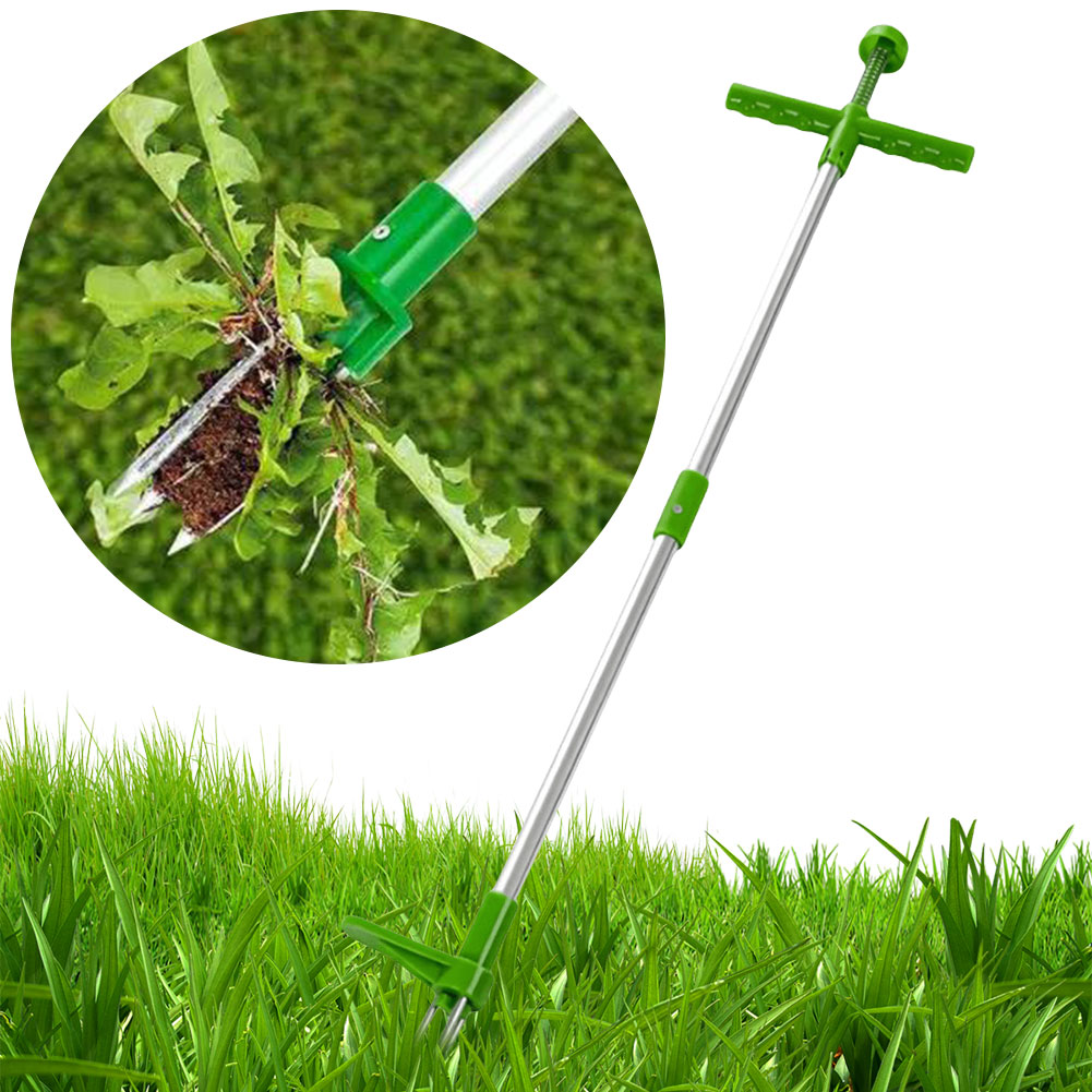 Stand Up Weeder Root Removal T - Gardening Tools To Remove Grass recensie en prijs