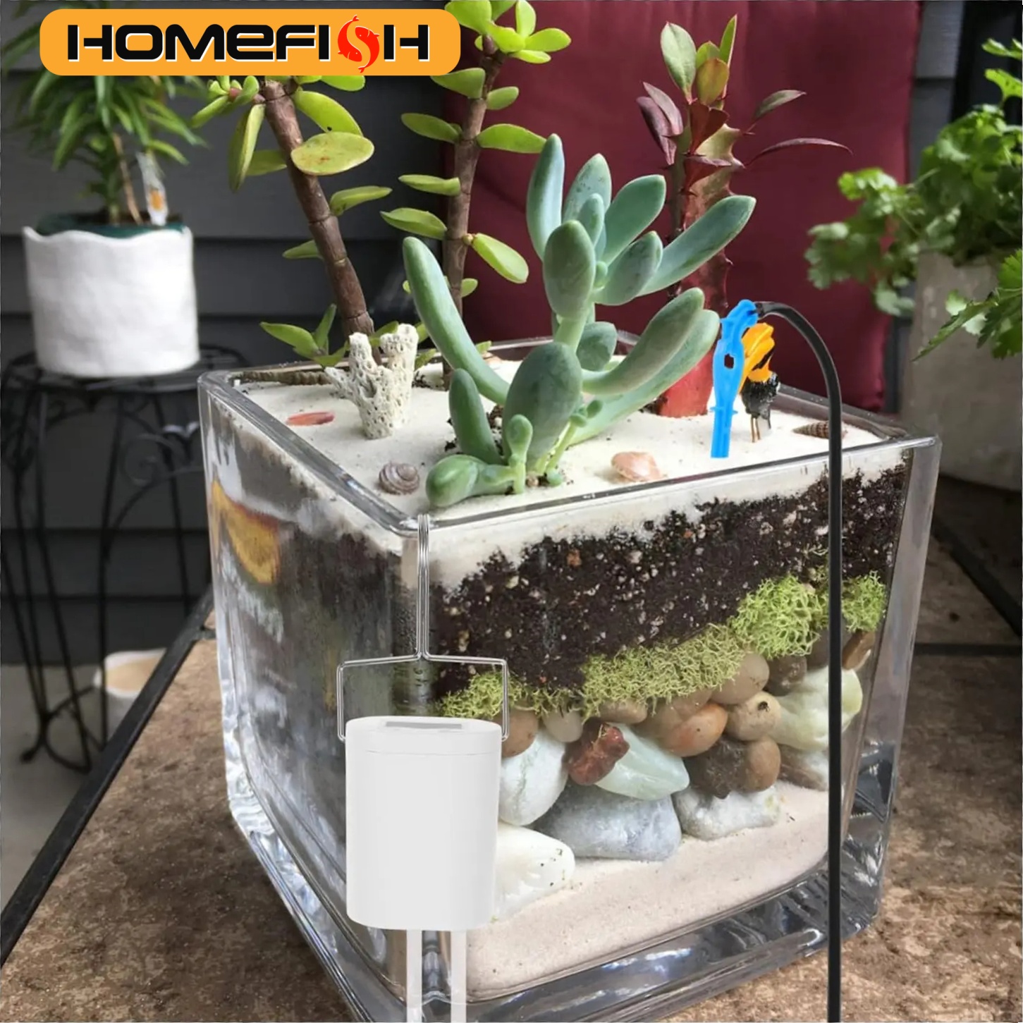 HOMEFISH Automatic Plant Flowe - Gardening Tools For Beginners recensie en prijs