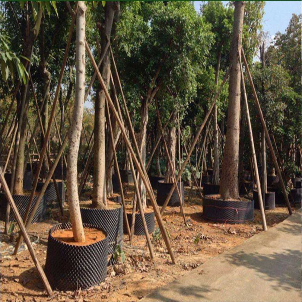 Grow Container Garden Tree Bon - Gardening Tools Of recensie en prijs