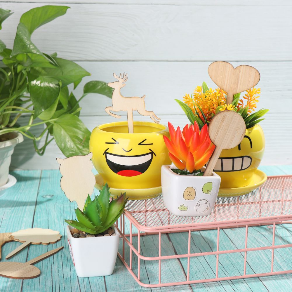 10PCS Eco-Friendly Bonsai Orna - Gardening Tools Labeled recensie en prijs