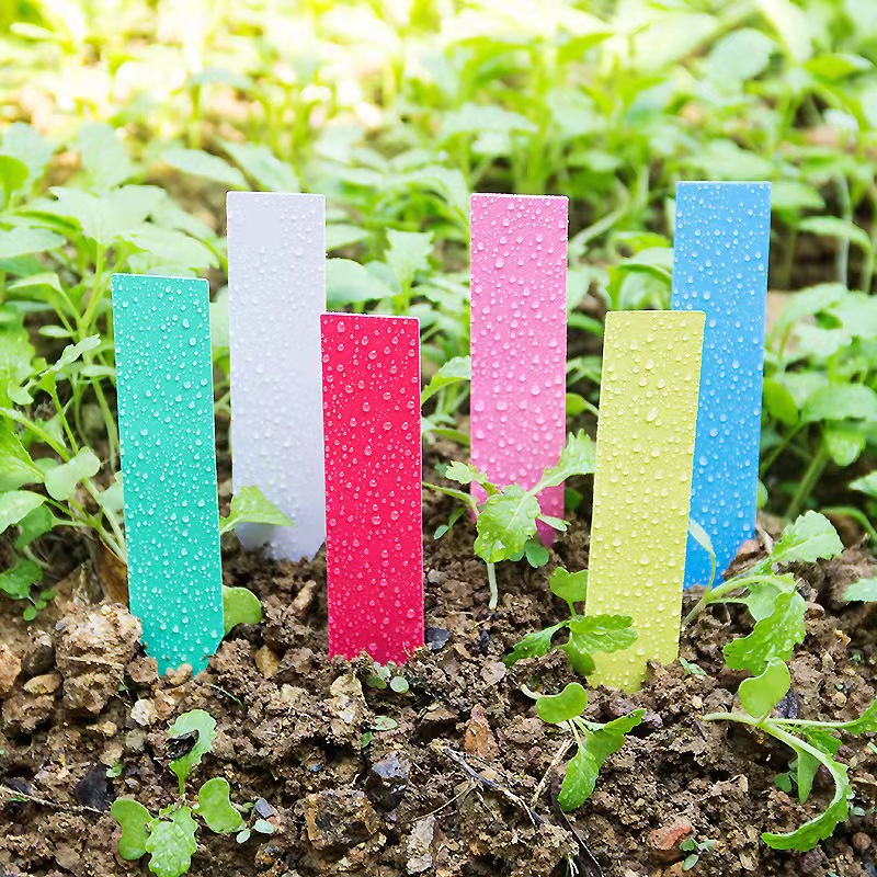 100Pcs Garden Plant Labels Pla - Gardening Tools Labeled recensie en prijs
