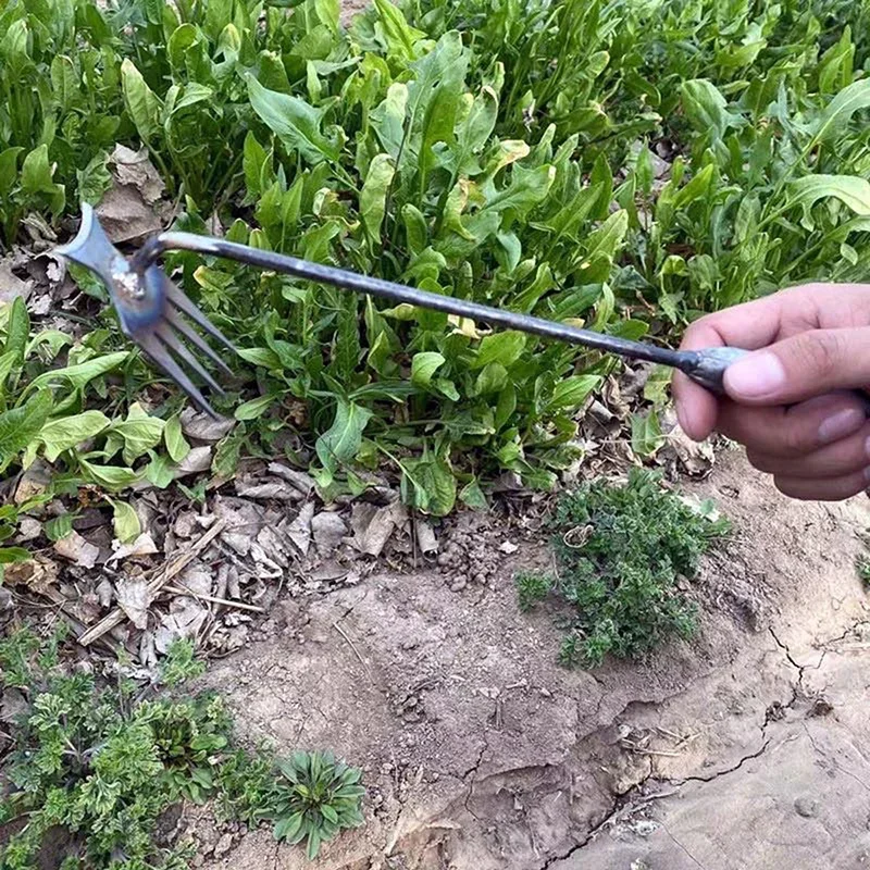 Garden Weeders Grass Hand Weed - Gardening Tools To Remove Grass recensie en prijs