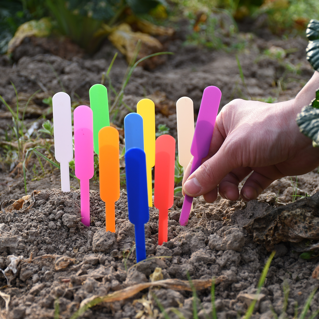 30-100PCS Waterproof Plastic   - Gardening Tools Labeled recensie en prijs