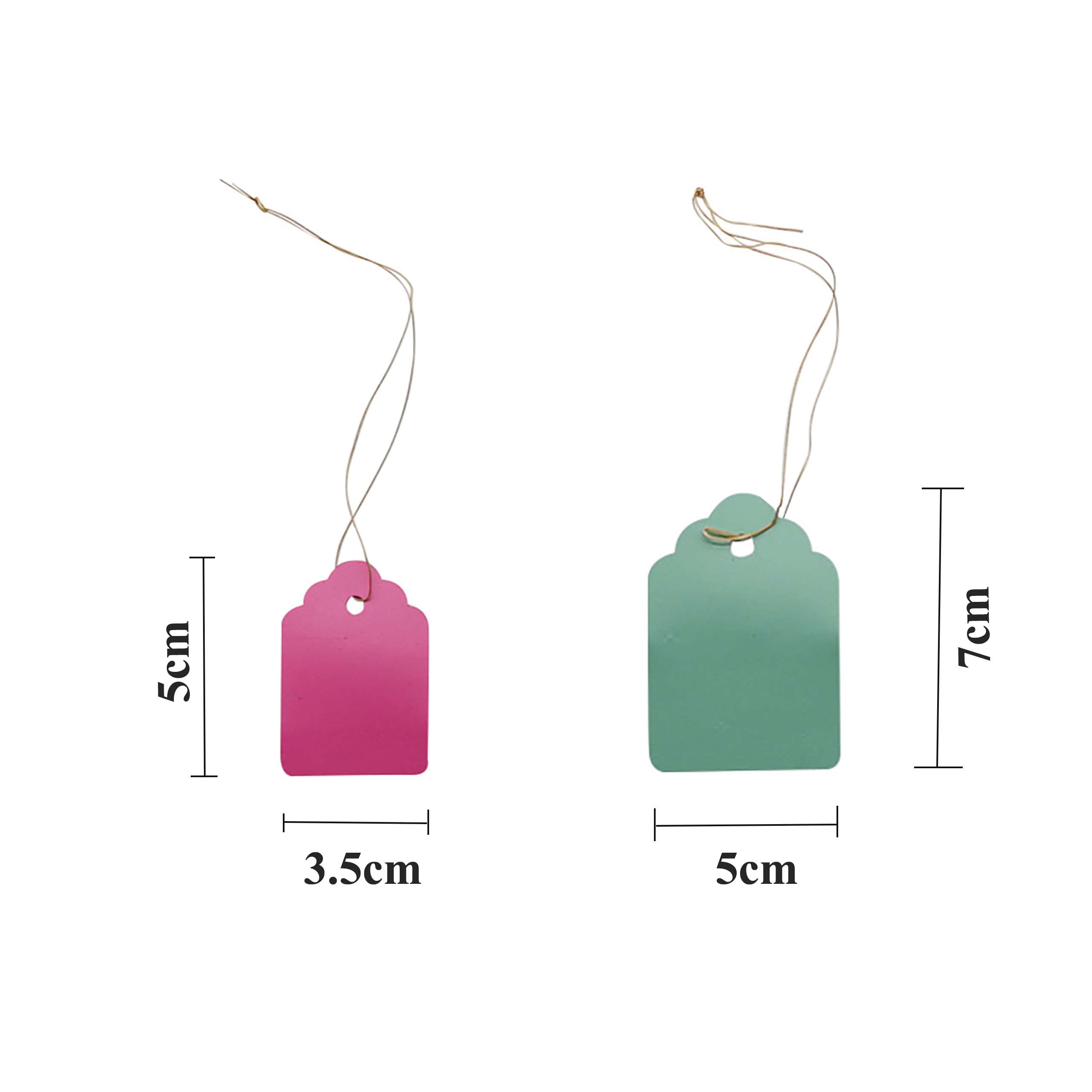 100Pcs/Lot Plants Hanging Plan - Gardening Tools Labeled recensie en prijs