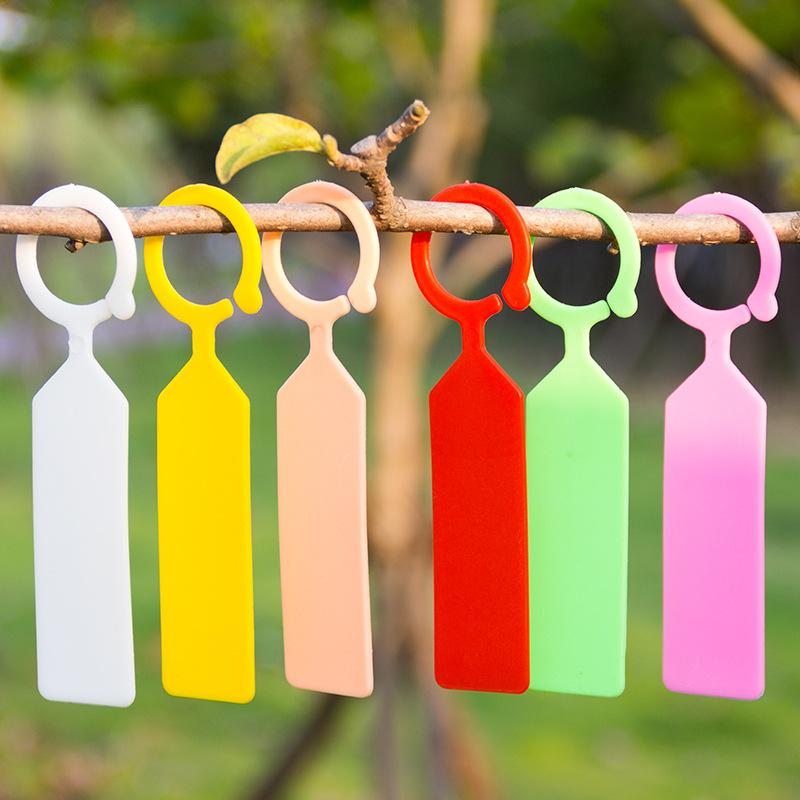 100PCS/Lot Plastic Hanging Pla - Gardening Tools Labeled recensie en prijs