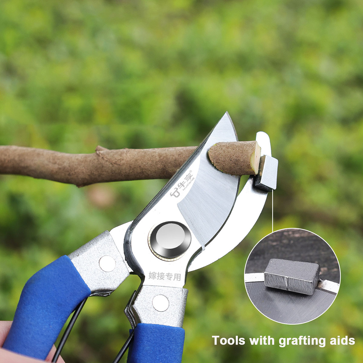 New Garden Scissors Profession - Gardening Tools For Beginners recensie en prijs