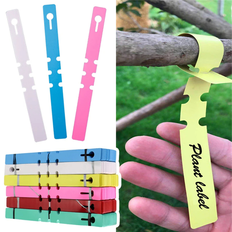 100-200pcs Waterproof Plant Ma - Gardening Tools Labeled recensie en prijs