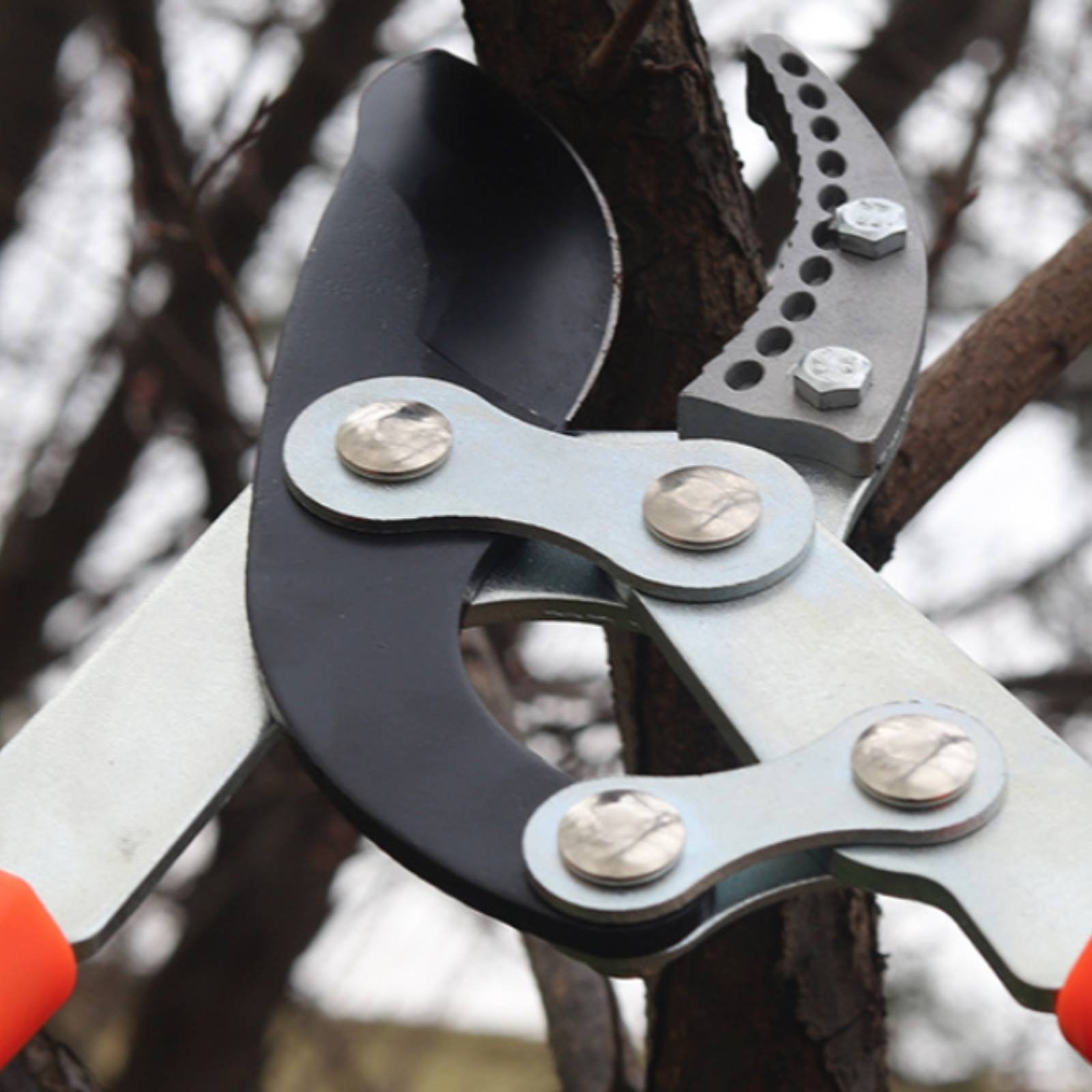 Telescopic Branch Pruners Shar - Gardening Tools Of recensie en prijs