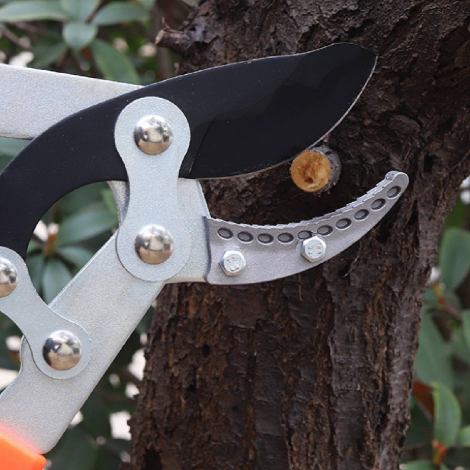 Telescopic Branch Pruners Shar - Gardening Tools Of recensie en prijs