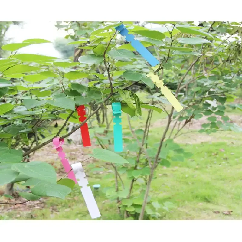 100Pcs/Set Plant Recording Lab - Gardening Tools Labeled recensie en prijs