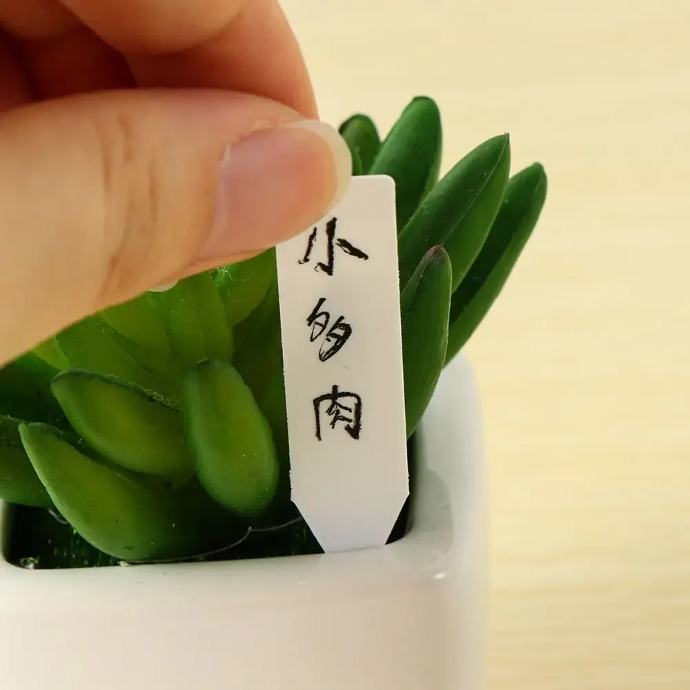 100Pcs Reusable Classification - Gardening Tools Labeled recensie en prijs
