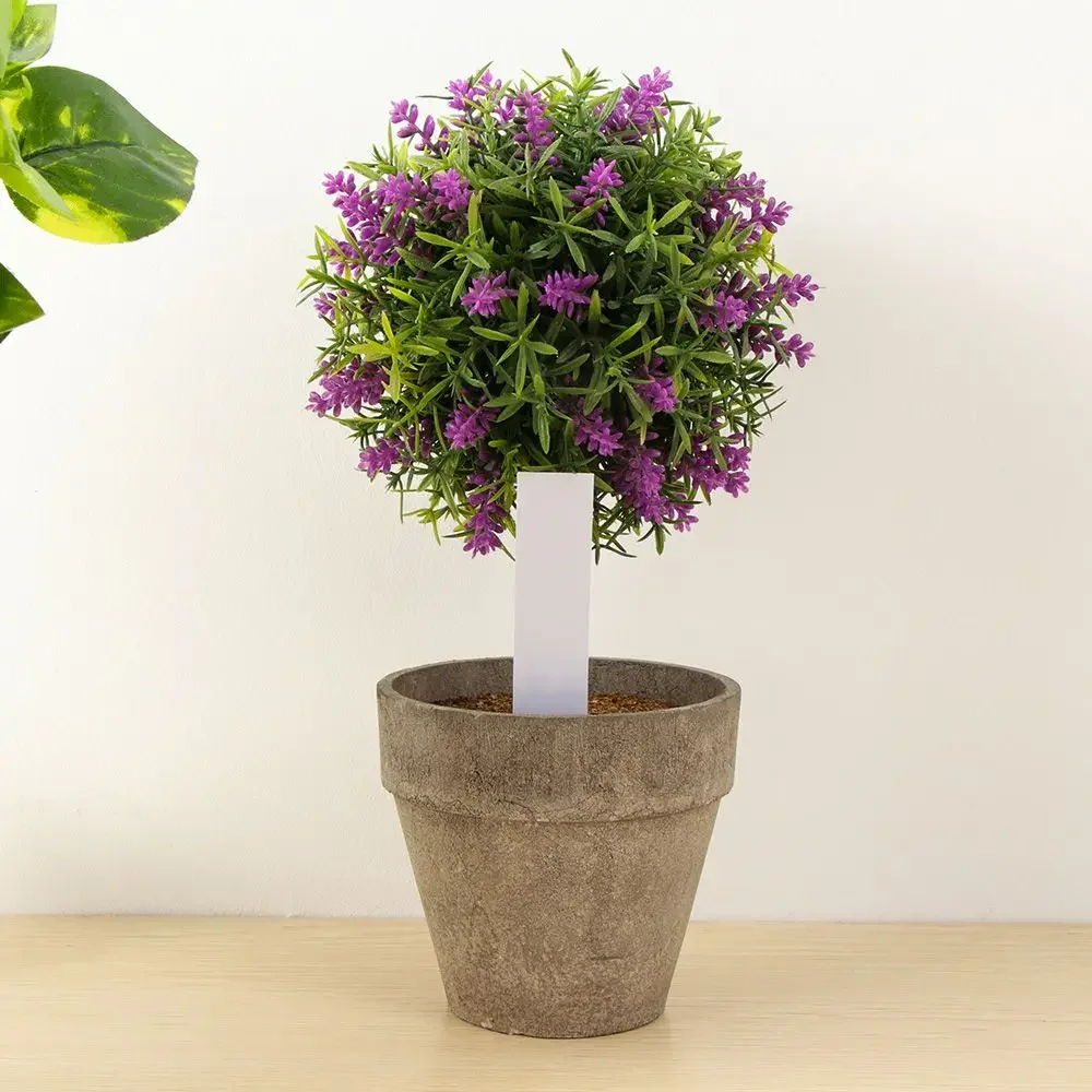 100Pcs Reusable Classification - Gardening Tools Labeled recensie en prijs